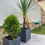 Petite Maison De 费康